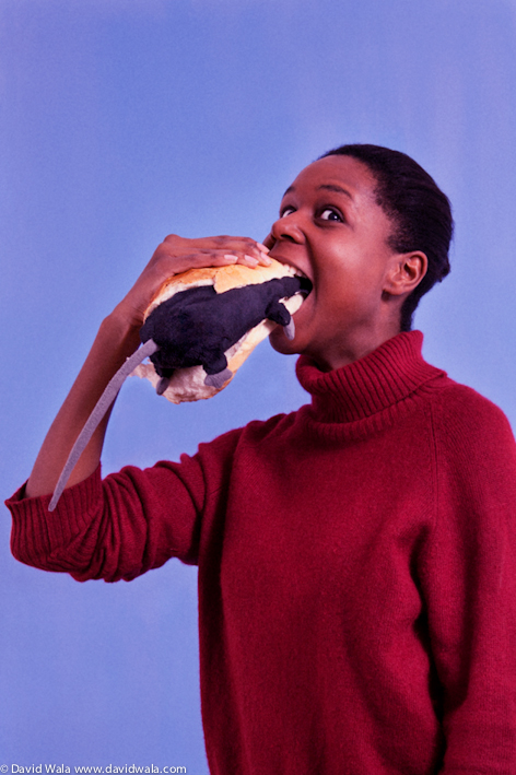 symphonicpicturesportraits-1